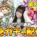 【ドラクエウォーク】にゃんにゃんアリーナ装備・いにしえの大司教装備ガチャを緊急生配信！スマートウォークも一緒に見てください（初見）