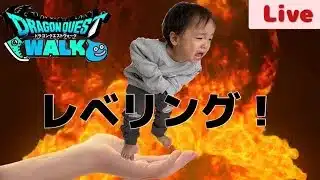 【ドラクエウォーク】第1回！初⁈？　一人レベリング！配信　ひぃ( *´艸｀)