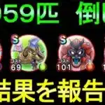 【ドラクエウォーク】959匹倒した結果 これは厳しいかも【ガチャ】【初心者】【攻略】【DQW】