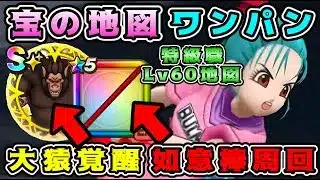 【ドラクエウォーク】宝の地図ワンパン。大猿覚醒、如意棒周回！【DQW】