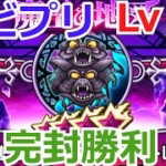 エビルプリースト Lv 99 ノーダメージ攻略【ドラクエウォーク】