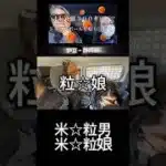 米粒残すやつは「いただきます」言わない問題 #shorts #vlog #ドラクエウォーク  #ドラゴンボール  #DRAGON BALL #旅行 #伊豆