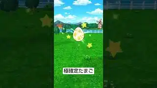 【ドラクエウォーク】極確定たまご