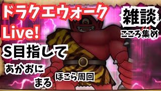 (2025.05.08)【ドラクエウォーク生配信】あかおにまるこころS目指して！深夜のほこら周回！