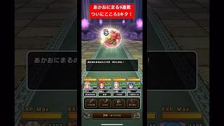 あかおにまる9連戦！ついにこころSキタ！#ドラクエウォーク #あかおにまる