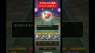 あかおにまる9連戦！ついにこころSキタ！#ドラクエウォーク #あかおにまる