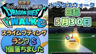 ドラクエウォーク　　日記　５月３０日