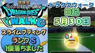 ドラクエウォーク　　日記　５月３０日