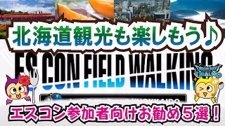 【ドラクエウォーク】#1284・エスコン参加者向け北海道お勧めスポット５選をご紹介☆北の大地に行ったらぜひここを見ないと始まらない！？「ふぉーくちゃんねる」