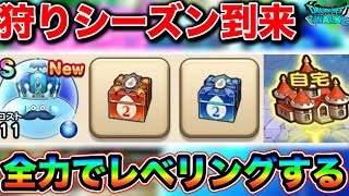 【ドラクエウォーク】レベリングし放題かよ！自宅狩り最強シーズン到来、天気心珠BOX２も追加。