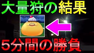 【ドラクエウォーク】大量狩りの結果 スライムプディング 心を狙う【ガチャ】【初心者】【攻略】【DQW】