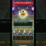 ドンモグーラこころSキタ！#ドラクエウォーク #ドンモグーラ
