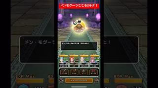 ドンモグーラこころSキタ！#ドラクエウォーク #ドンモグーラ