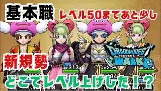 【ドラクエウォーク】新規勢のレベル上げ紹介！リアル育成記録～