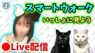 【ドラクエウォーク配信】スマートウォーク同時視聴会！夏を乗り切れるワクワク情報たのむ！【ひなさんゲ。】
