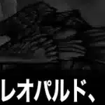 よくこれを選んだ勇者へ…おめでとうございます。持ってたら幸運です【ドラクエウォーク】【ドラゴンクエストウォーク】