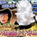 【ドラクエウォーク】お土産制覇の旅～ご当地グルメも楽しもう～埼玉県