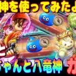 【ドラクエウォーク】有償とケキちゃんと八竜神王装備ガチャ