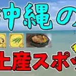 【ドラクエウォーク】沖縄のお土産スポットまわってみた！！こんな今だから【絶景】【変態】
