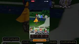 #ドラクエウォーク 🐲リンカント🐀👿仲間になる😾👿🤪