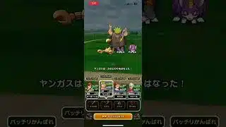 #ドラクエウォーク 🐉ホイミスライム🤪😍仲間になる🤗😋