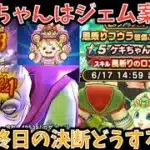【ドラクエウォーク】最終前夜⁉︎ ケキちゃんはジェム使ってでも取るべきなのか使用感を語ります【ドラゴンクエストウォーク】