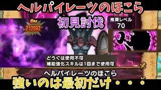 【ドラクエウォーク】ヘルパイレーツのほこら 初見討伐 正直青スキル1回でも楽過ぎる【ドラゴンクエストウォーク】