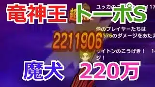 竜神王改9 対 レオパルド【ドラクエウォーク】