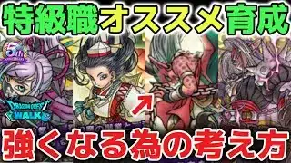 【ドラクエウォーク】特級職オススメ職業の育成について！ドラゴン強化でも強いパーティの作り方はシンプルです！【DQウォーク】
