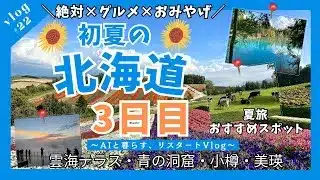 【北海道vlog3日目】夏に行きたい絶景スポット3選＆グルメ・お土産も紹介✈️ドラクエウォークリアルイベントに参戦した日