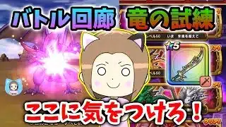 バトル回廊「竜の試練」を魔刃１本で撃破！立ち回りここに気を付けて！【ドラクエウォーク_vol.440】