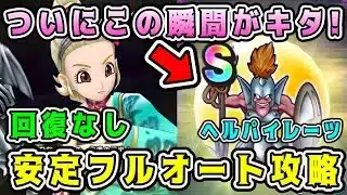 【ドラクエウォーク】ついにこの瞬間がキタ！【ヘルパイレーツ】回復なし安定フルオート攻略！【DQW】