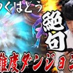 【ドラクエウォーク】初見で超高難度ダンジョンに挑戦‼︎「いてつくはどうで全てが狂った」【DQW】