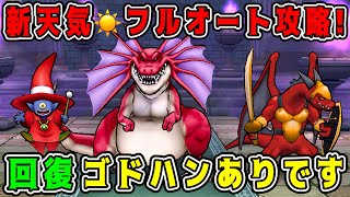 【ドラクエウォーク】新天気のほこらフルオート攻略！回復ゴドハンありです！【DQW】