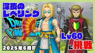 【ドラクエウォーク】無言配信？深夜のレベリング/Lv60でダーマ試練解放する！！テスト配信②
