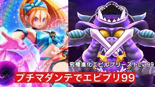 エビルプリーストLv99 プチマダンテで攻略 【ドラクエウォーク】 ブルフィオーレ 魔王の地図