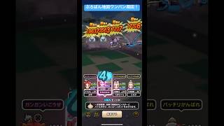 ぷろばん地図ワンパン周回！#ドラクエウォーク #宝の地図 #カルベロビュート