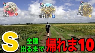 神の軍団バゴス・アネモーズ・フラーガ全種Ｓ出るまで帰れま10【ドラクエウォーク】【ドラゴンクエストウォーク】