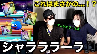 女神セレシアの杖有償ジェムに追加勝負を仕掛けたらしゃららら〜ら🎵【ドラクエウォーク】【ドラゴンクエストウォーク】