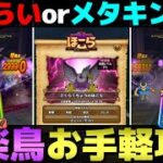 【ドラクエウォーク】２つの構成でごくらくちょう攻略。