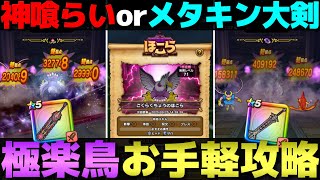 【ドラクエウォーク】２つの構成でごくらくちょう攻略。