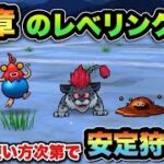 【ドラクエウォーク】17章を1ターンで倒すには武器の使い方が超重要でした