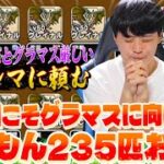【ドラクエウォーク】今度こそグラマスに向けてなかもん235匹お別れ‼︎「現状グラマス厳しいので良い継承玉が本当に欲しい」【なかまモンスター】【DQW】