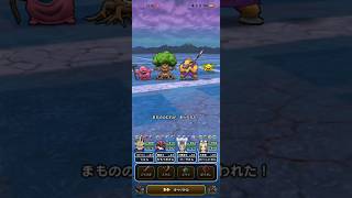#658【ドラクエウォーク】ランプ千里行、旗槍だとこうなりました😊