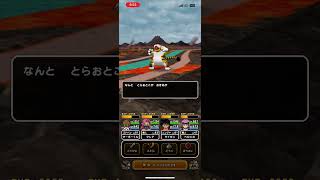 #ドラクエウォーク 🐉とらおとこ🐯🐅仲間になる🐯🐅