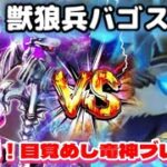 【ドラクエウォーク】獣狼兵バゴスを竜神王のブレスで燃やし尽くす！！！