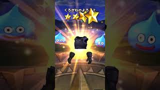 ブルフィオーレ・太陽の扇ガチャ③時間逆行)【ドラクエウォーク】か