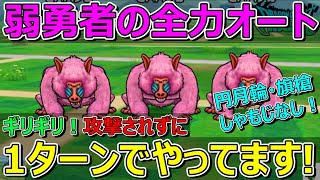 【ドラクエウォーク】ヒババンゴ！弱勇者の全力オート1ターン！ギリ攻撃されません！