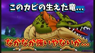 【ドラクエウォーク】根絶やしの竜、、このカビの生えた竜…なかなか強いやないか…。2ターン攻略や！！