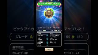 ビックアイ2個目S完成！#ドラクエウォーク #ビックアイ